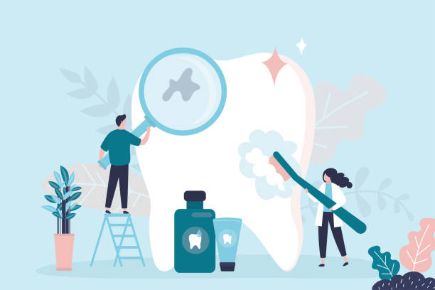 Best Traditional Braces  in Lighthouse Point, FL